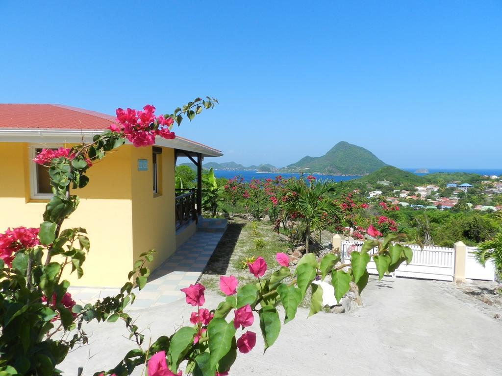 Coco D'Iles Apartment Terre-de-Bas Стая снимка