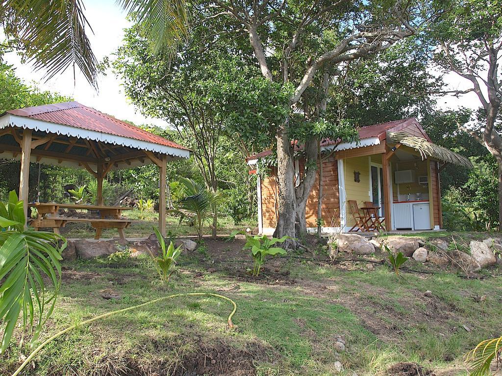 Coco D'Iles Apartment Terre-de-Bas Екстериор снимка